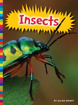 Insects - ebook